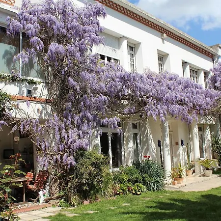 Domaine Saint Nicolas فندق مبيت وإفطار بيربينيو