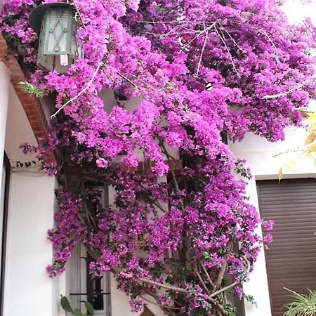 ベッド・アンド・ブレックファスト Domaine Saint Nicolas *