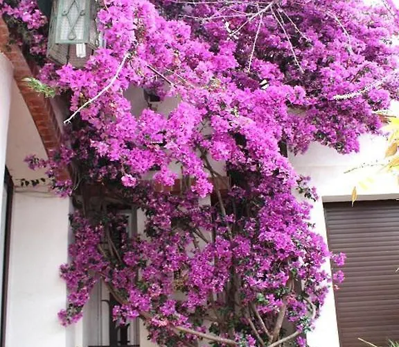 Bed & Breakfast Domaine Saint Nicolas *